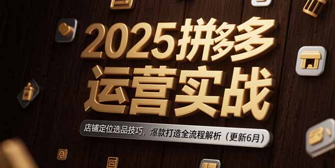 2025拼多多运营实战：店铺定位选品技巧，爆款打造全流程解析(更新6月-资源宝库