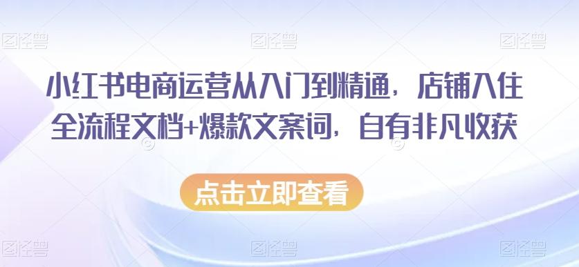 小红书电商运营从入门到精通，店铺入住全流程文档+爆款文案词，自有非凡收获-资源宝库