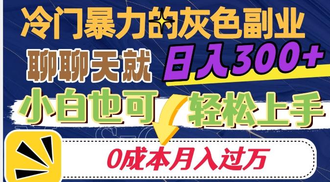冷门暴利的副业项目，聊聊天就能日入300+，0成本月入过万【揭秘】-资源宝库
