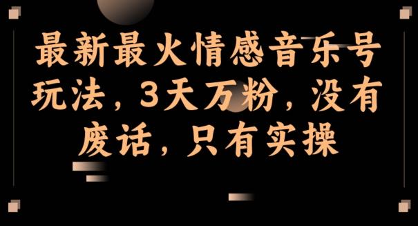 最新最火情感音乐号玩法，3天万粉，没有废话，只有实操-资源宝库