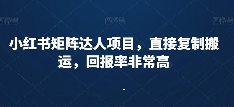 小红书矩阵达人项目，直接复制搬运，回报率非常高-资源宝库