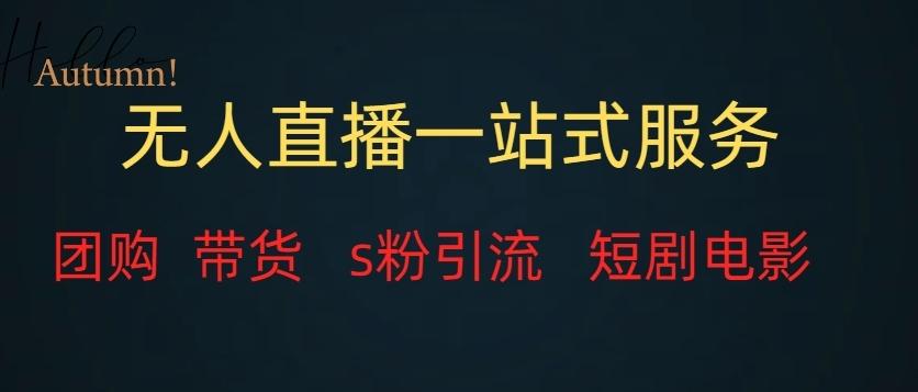 无人直播一站式服务（教程以及变现方式）-资源宝库