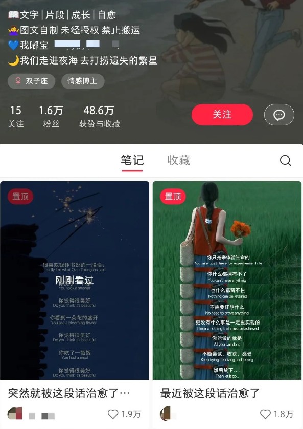 小红书治愈文案图文笔记,零门槛,一分钟制作轻松制作爆款作品月入万元-资源宝库