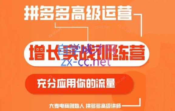 大麦老师·拼多多单品爆款打造课程(更新6月)-资源宝库