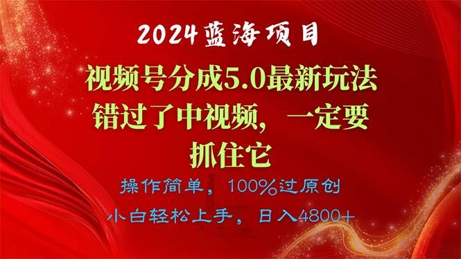 2024蓝海项目，视频号分成计划5.0最新玩法，错过了中视频，一定要抓住...-资源宝库