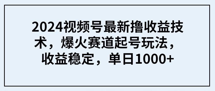 (9651期) 2024视频号最新撸收益技术，爆火赛道起号玩法，收益稳定，单日1000+-资源宝库