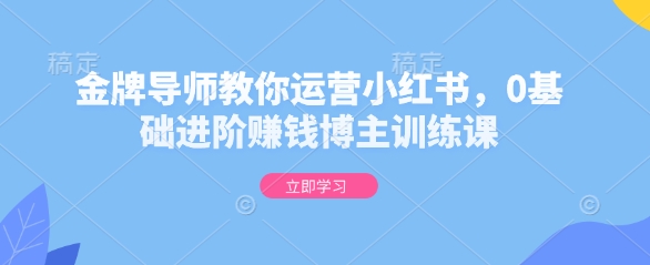 金牌导师教你运营小红书,0基础进阶赚钱博主训练课-资源宝库