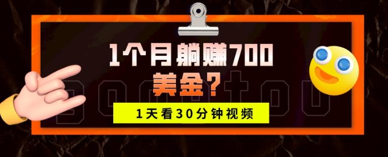 1天看30分钟视频，1个月躺赚700美金？-资源宝库