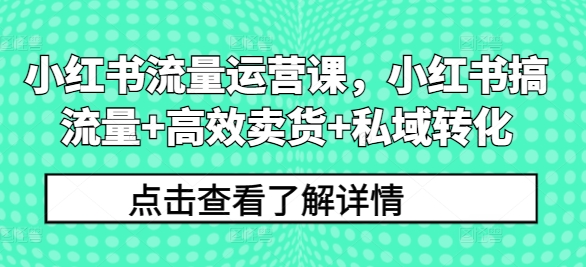 小红书流量运营课，小红书搞流量+高效卖货+私域转化-资源宝库