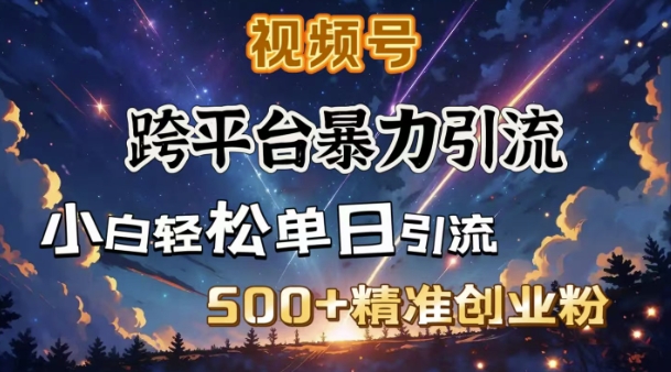 跨平台暴力引流，私域完美闭环，日引500+精准创业粉-资源宝库