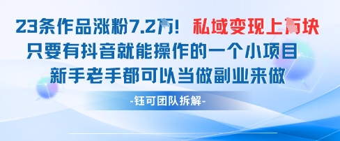 抖音私域项目23条作品涨粉7.2W，私域变现1W-资源宝库
