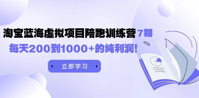 (9541期)黄岛主《淘宝蓝海虚拟项目陪跑训练营7期》每天200到1000+的纯利润-资源宝库