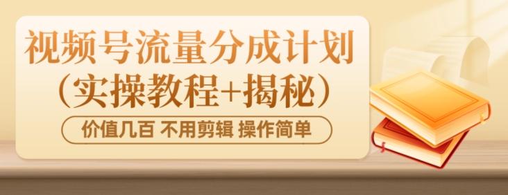 价值几百上千不用剪辑简单操作视频号流量分成计划（实操教程+揭秘）-资源宝库