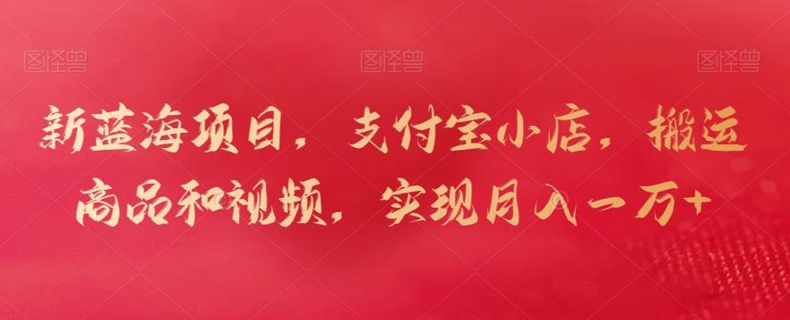 新蓝海项目，支付宝小店，搬运商品和视频，实现月入一万+【揭秘】-资源宝库