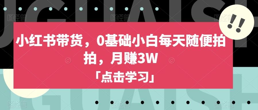 小红书带货，0基础小白每天随便拍拍，月赚3W【揭秘】-资源宝库