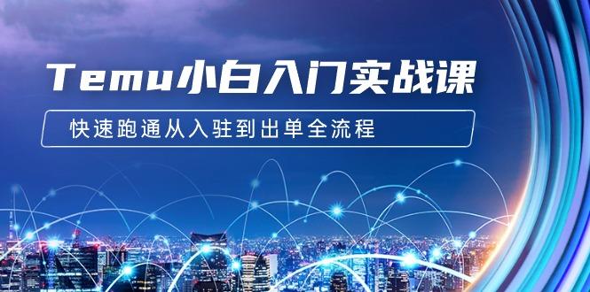 (9295期)Temu小白入门实战课：跨境拼多多电商培训 快速跑通从入驻到出单全流程-12节-资源宝库