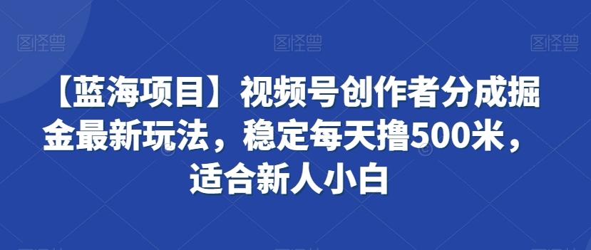 【蓝海项目】视频号创作者分成掘金最新玩法，稳定每天撸500米，适合新人小白【揭秘】-资源宝库