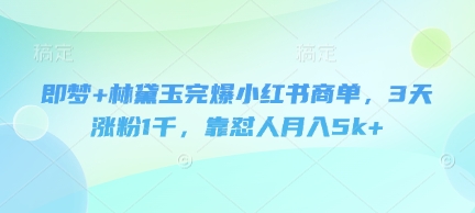 即梦+林黛玉完爆小红书商单,3天涨粉1千,靠怼人月入5k+-资源宝库