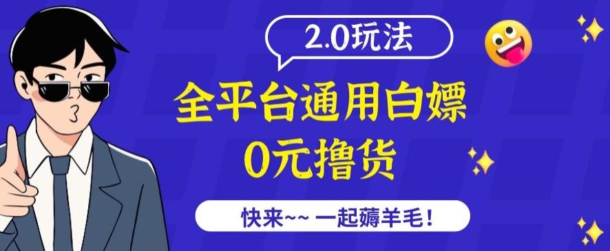 外面收费2980的全平台通用白嫖撸货项目2.0玩法【仅揭秘】-资源宝库