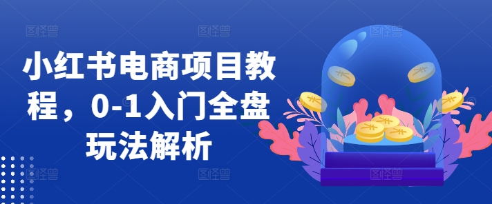 小红书电商项目教程，0-1入门全盘玩法解析-资源宝库