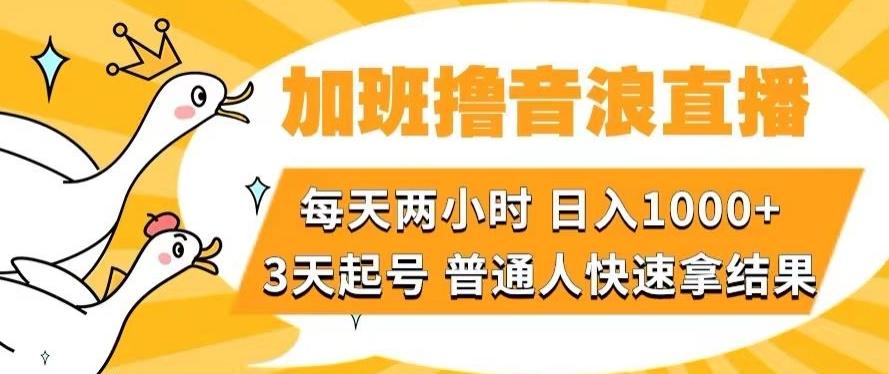 加班撸音浪直播，每天两小时，日入1000+，直播话术才3句，3天起号，普通人快速拿结果【揭秘】-资源宝库