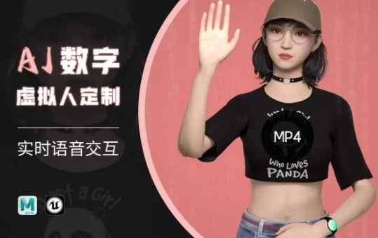 Ai数字人虚拟(智能体)实时语音交互特训营,自行定制超写实角色AI数字人交互技术-资源宝库