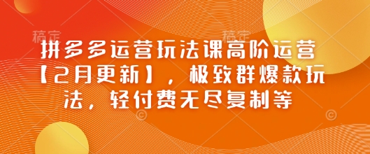 拼多多运营玩法课高阶运营【2月更新】,极致群爆款玩法,轻付费无尽复制等-资源宝库