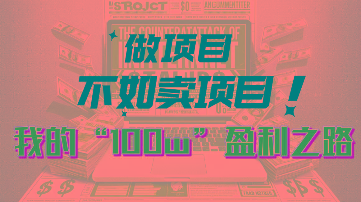为什么做项目不如卖项目？我的100W+盈利之路-资源宝库