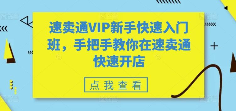 速卖通VIP新手快速入门班，手把手教你在速卖通快速开店-资源宝库