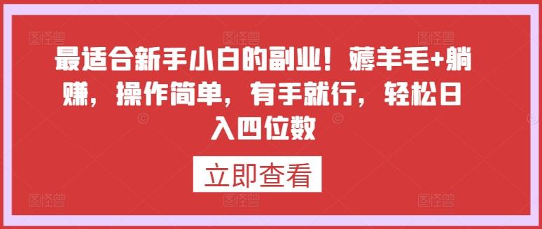 最适合新手小白的副业！薅羊毛+躺赚，操作简单，有手就行，轻松日入四位数【揭秘】-资源宝库