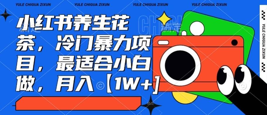 小红书养生花茶，冷门暴力项目，最适合小白做，月入【1W+】-资源宝库