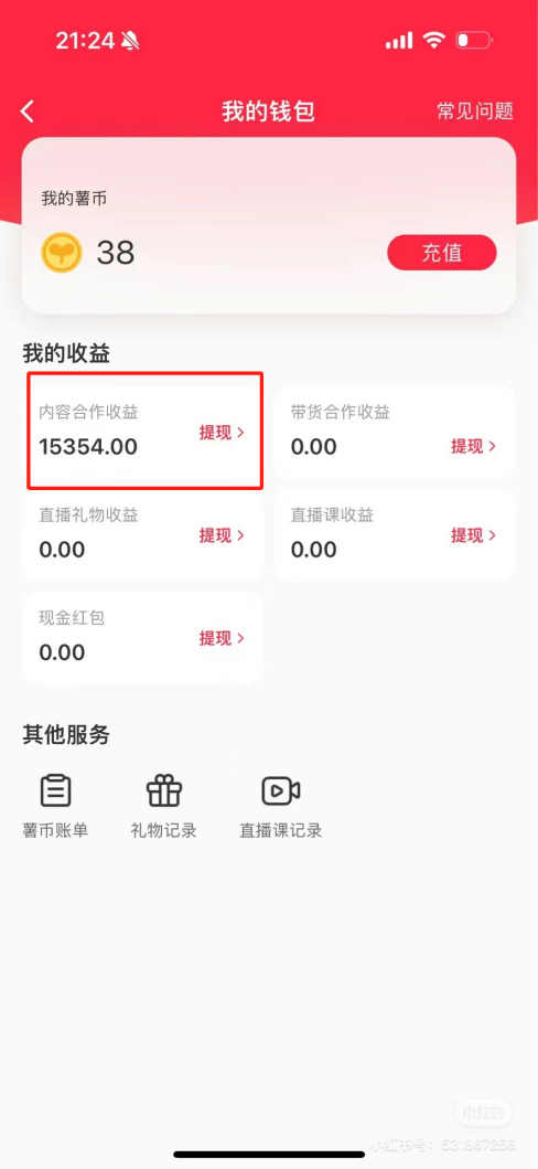 热门评论引爆小红书流量，作品制作简单，广告接到手软，月入过万不是梦-资源宝库
