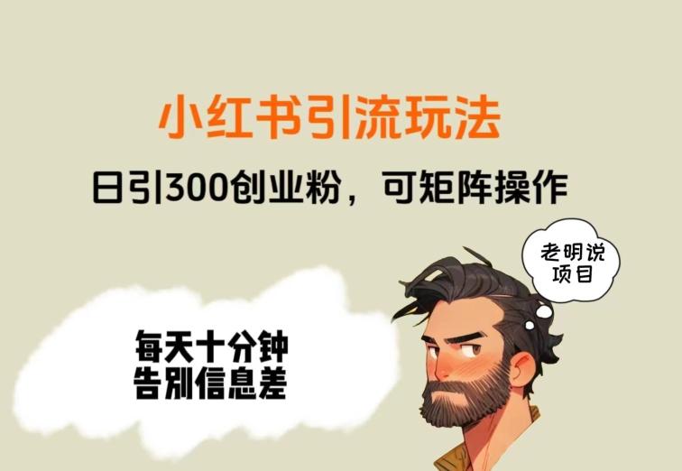 靠小红书视频日印300粉，两分钟一个视频轻松矩阵-资源宝库