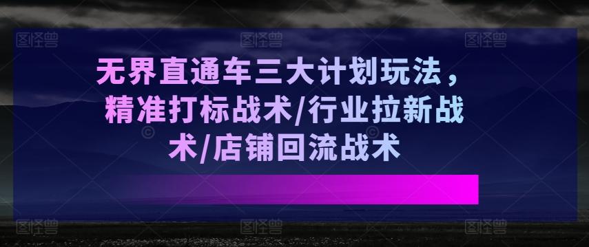 无界直通车三大计划玩法，精准打标战术/行业拉新战术/店铺回流战术-资源宝库