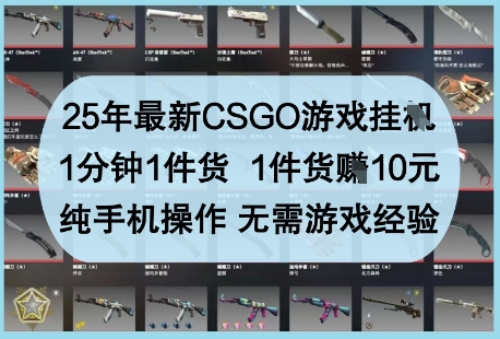25年最新CSGO游戏挂G,1分钟1件货,1件货挣10元,纯手机操作,无需游戏经验【揭秘】-资源宝库