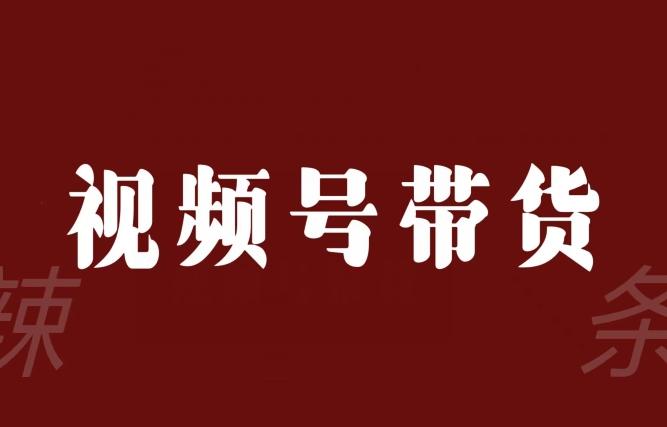 视频号带货联盟，赚信息差的带货钱，只需手机随时随地都可以做！-资源宝库