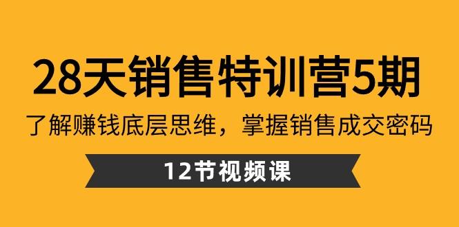 28天销售特训营5期：了解赚钱底层思维，掌握销售成交密码（12节课）-资源宝库