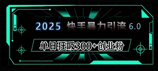 2025年快手6.0保姆级教程震撼来袭，单日狂吸300+精准创业粉-资源宝库