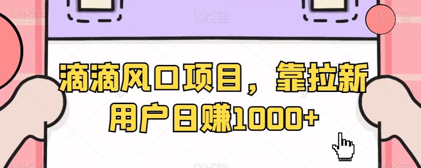 滴滴风口项目，靠拉新用户日赚1000+-资源宝库