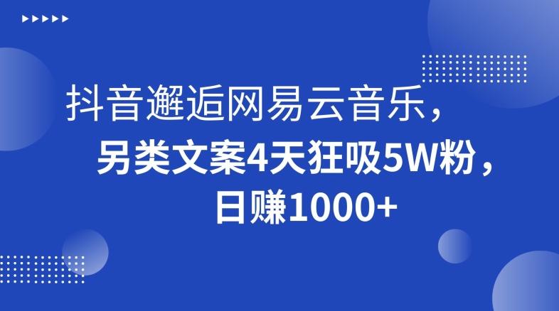 抖音邂逅网易云音乐，另类文案4天狂吸5W粉，日赚1000+【揭秘】-资源宝库
