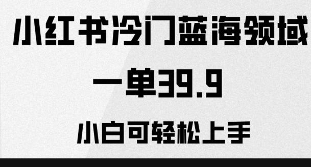 小红书冷门蓝海领域，一单39.9，小白可轻松上手-资源宝库