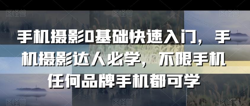 手机摄影0基础快速入门，手机摄影达人必学，不限手机任何品牌手机都可学-资源宝库