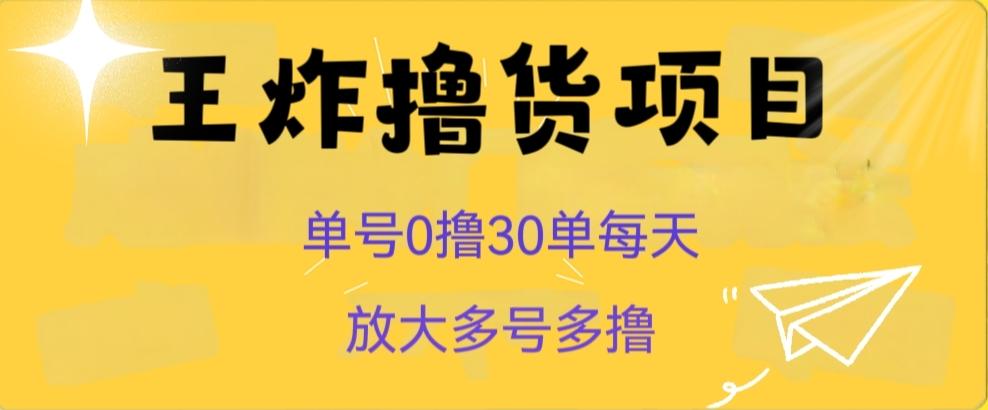 王炸撸货项目，单号0撸30单每天，多号多撸【揭秘】-资源宝库