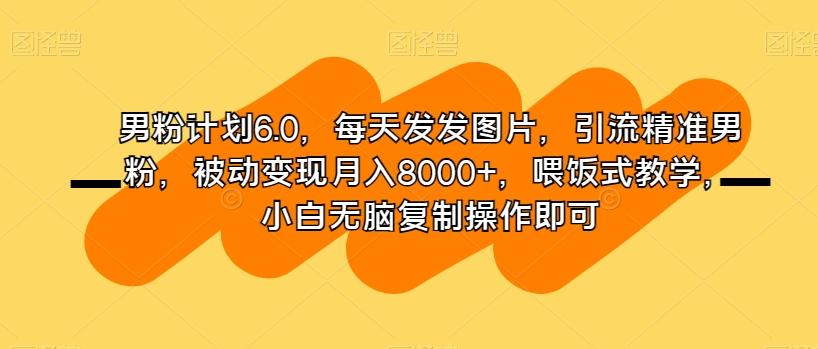 男粉计划6.0，每天发发图片，引流精准男粉，被动变现月入8000+，喂饭式教学，小白无脑复制操作即可-资源宝库