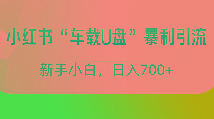 小红书“车载U盘”项目，暴利引流，新手小白轻松日入700+-资源宝库