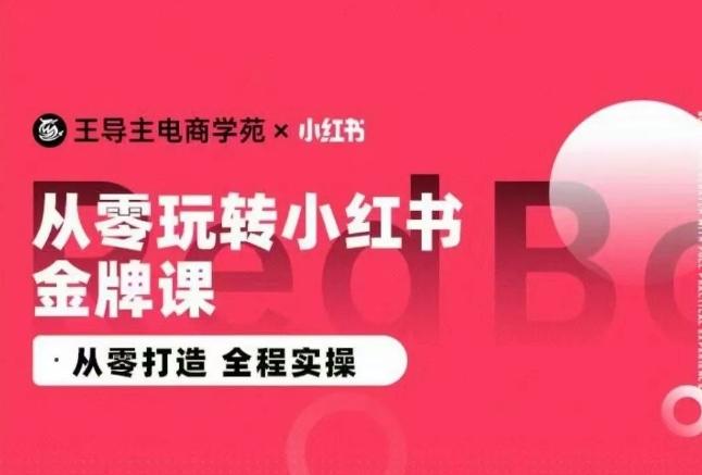 王导主·小红书电商运营实操课，​从零打造  全程实操-资源宝库