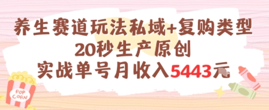 养生赛道玩法私域+复购类型，20秒生产原创实战单号月收入5k+-资源宝库