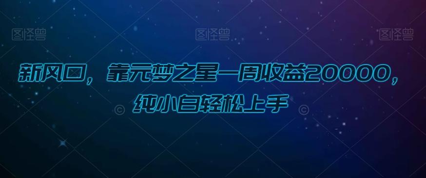 新风口，靠元梦之星一周收益20000，纯小白轻松上手-资源宝库