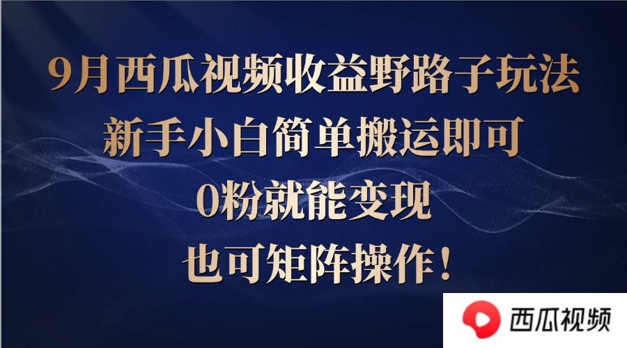 西瓜视频收益野路子玩法，新手小白简单搬运即可，0粉就能变现，也可矩...-资源宝库