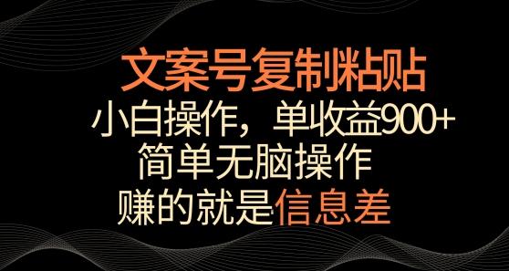 文案号掘金，简单复制粘贴，小白操作，单作品收益900+【揭秘】-资源宝库